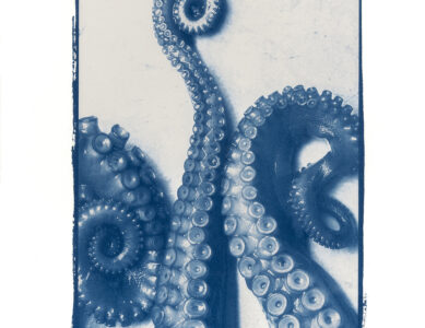 Cyanotype, Mer I