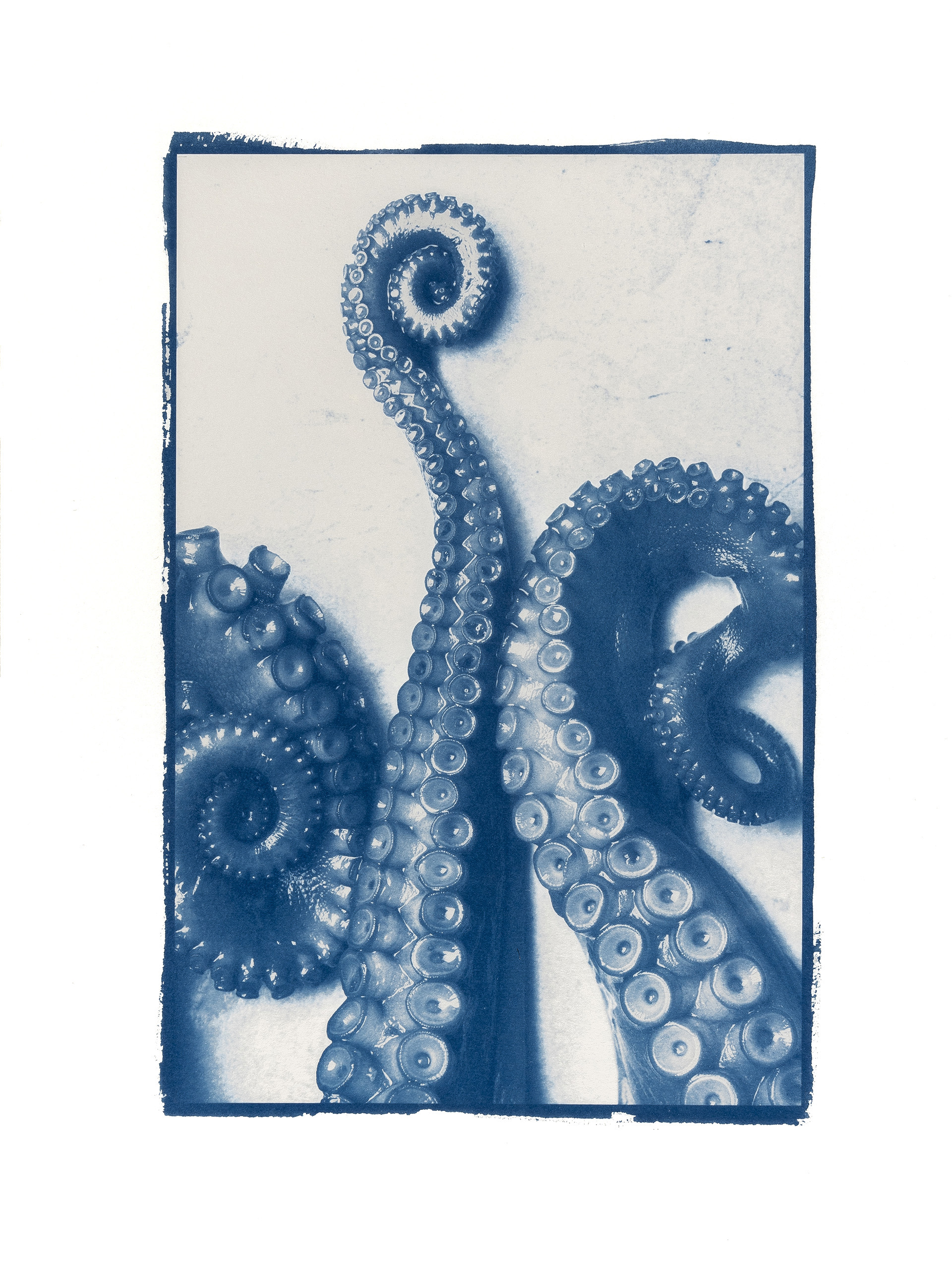 Cyanotype, Mer I